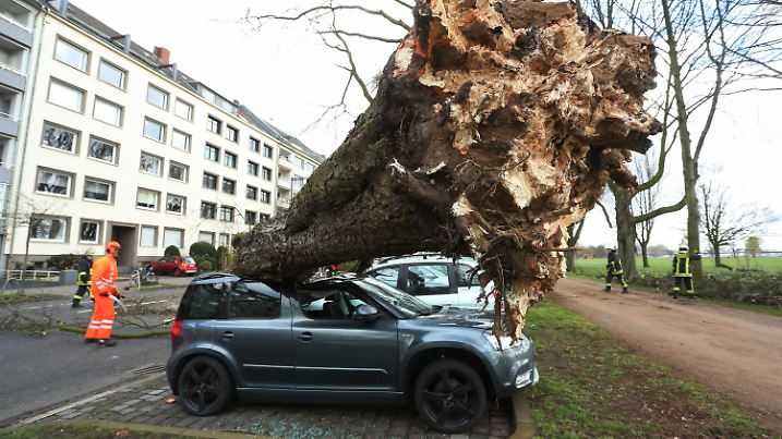 10.03.2019, Nordrhein-Westfalen, Düsseldorf: Ein umgekippter Baum liegt auf drei Autos auf der Düsseldorfer Cecillienallee. Zwei Stürme haben am Wochenende in NRW für Probleme gesorgt und Bäume entwurzelt. Foto: David Young/dpa +++ dpa-Bildfunk +++