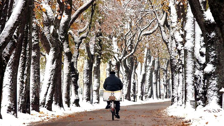 Durch eine verschneite Allee in Garmisch-Partenkirchen fährt am 24.10.2003 ein Mann mit einem Fahrrad. Es ist nicht zu übersehen: Der Winter steht vor der Tür...