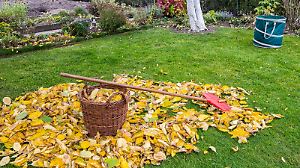 Autumn - Gardening