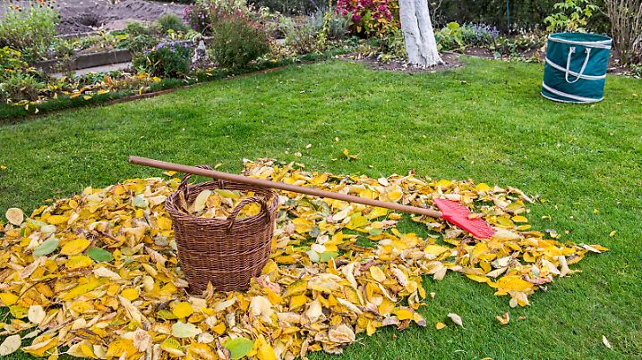 Autumn - Gardening