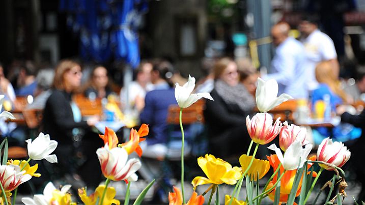 Gäste sitzen am 06.05.2014 in München (Bayern) in einem Biergarten, vor dem bunte Tulpen blühen. Foto: Rene Ruprecht/dpa +++(c) dpa - Bildfunk+++