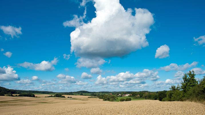 ARCHIV - Wolken am blauen Himmel ziehen am 15.08.2013 über ein Weizenfeld im uckermärkischen Altkünkendorf nahe Angermünde (Brandenburg). Foto: Patrick Pleul/dpa (zu dpa "Bilanz zum meteorologischen Sommer" am 29.08.2014) +++(c) dpa - Bildfunk+++