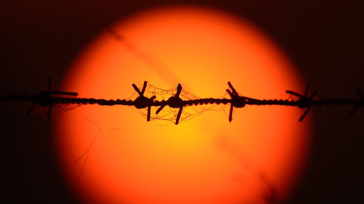 Ein Stacheldrahtzaun mit einem feinen Spinnennetz zeichnet sich am 16.09.2014 bei Sehnde in der Region Hannover (Niedersachsen) vor der aufgehenden Sonne ab. Für die Meteorologen ist der sogenannte Altweibersommer eine beständige Hochdruck-Wetterlage, die besonders häufig zwischen Mitte September und Anfang Oktober noch einmal warme Sonnentage bringt. Foto: Julian Stratenschulte/dpa +++(c) dpa - Bildfunk+++
