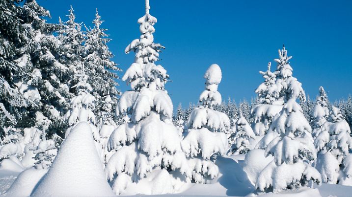 SNOW - Ore Mountains in Winter Keine Weitergabe an Drittverwerter.