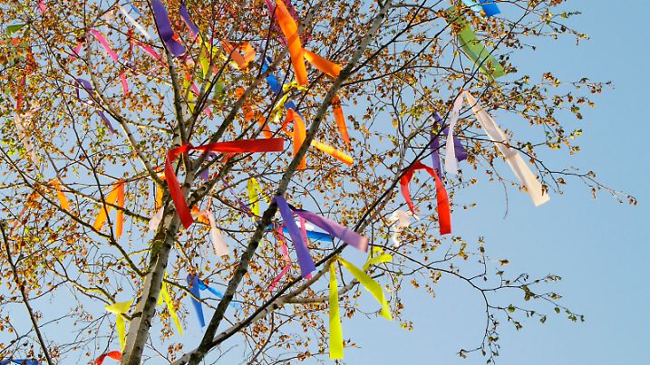 Maibaum, Deutschland, Rheinland-Pfalz, Siebeldingen | maypole, Germany, Rhineland-Palatinate, Siebeldingen