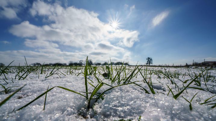 11.02.2021, Hessen, Friedrichsdorf: Von einer dünnen Schneedecke überzogen ist die Wintersaat auf einem Feld im Sonnenschein, aber eisigen Temperaturen. Das Winterwetter mit eisigen Temperaturen von teils zweistelligen Minusgraden macht auch den hessischen Bauern zu schaffen. (zu dpa «Starker Frost macht Hessens Bauern zu schaffen») Foto: Frank Rumpenhorst/dpa +++ dpa-Bildfunk +++