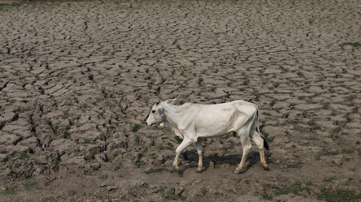 NEW DELHI, INDIA - JUNE 27: A view of a dry bed of a pond amid the ongoing heatwave, in New Delhi, India on June 27, 2022. Heat-wave like conditions prevailed in 16 states of India in the ongoing summer season in 2022. Amarjeet Kumar Singh / Anadolu Agency
