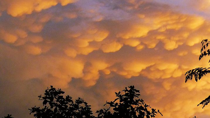 Oft bilden sich Mammatus an der Basis von Cumulonimbus-Wolken. Die tiefstehende Sonne färbt sie rötlich oder gelb, zwischen den Auswüchsen sind dunkle Schatten zu sehen.