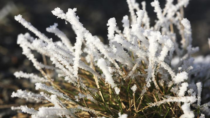 Winter, Eiseskälte, Eiskreistalle, Raureif, gefrorene Luftfeuchtigkeit auf Pflanzen und Gegenständen, Deutschland, Europa | Verwendung weltweit, Keine Weitergabe an Wiederverkäufer.