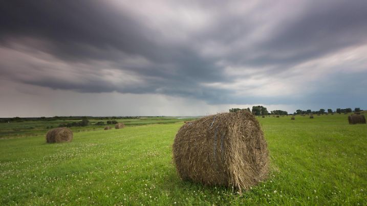 Heuballen auf dem Feld bei aufziehendem Gewitter, Deutschland, Mecklenburg-Vorpommern, Hiddensee | hayballs in a meadow at approaching thunderstorm, Germany, Mecklenburg-Western Pomerania, Hiddensee