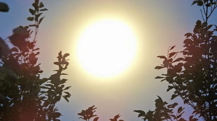 Vollmond über Hamburg | Verwendung weltweit