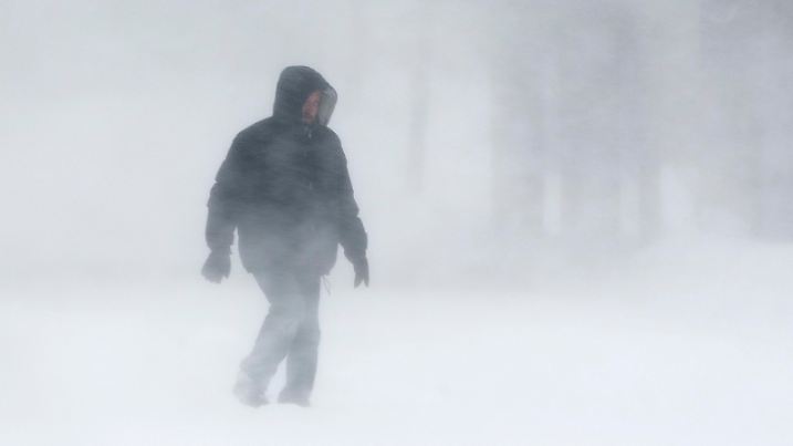 A man makes his way through near whiteout conditions in Halifax, January 3, 2014. Environment Canada has issued blizzard warnings for much of Nova Scotia and Atlantic Canada.  REUTERS/Devaan Ingraham (CANADA - Tags: SOCIETY ENVIRONMENT TPX IMAGES OF THE DAY)