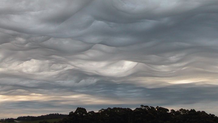 HANDOUT - Wolken in Asperatus (Undulatus asperatus)-Wolkenformation ziehen am 20.02.2004 über den Shorewell Park in Tasmanien (Australien). Meteorologen haben eine neue Wolkenform anerkannt. (zu dpa «Meteorologen erkennen neue Wolkenart «Volutus» an» vom 23.03.2017 - ACHTUNG: Nutzung nur zu redaktionellen Zwecken im Zusammenhang mit der aktuellen Berichterstattung und vollständiger Nennung der Quelle Foto: Foto: Gary McArthur/WMO/dpa |