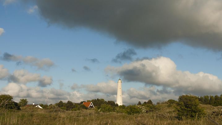 Leuchtturm von Schiermonnikoog, Niederlande | Lighthouse at Schiermonnikoog with Broom in foreground, Netherlands | Verwendung weltweit
