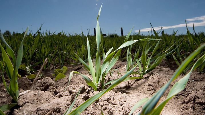 25.04.2019, Niedersachsen, Laatzen: Die Sonne scheint auf ein sehr trockenes Feld in der Region Hannover. Nach Angaben des Deutschen Wetterdienstes sind in vielen Regionen Deutschlands 2019 zum Start der Vegetationsperiode die Böden viel trockener als im vieljährigen Durchschnitt. Die Dürre des Jahres 2018 könnte sich 2019 wiederholen, wenn die trockene Witterung anhält. Foto: Julian Stratenschulte/dpa +++ dpa-Bildfunk +++
