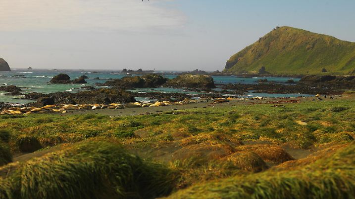 Ein ausgeprägtes maritimes Klima herrscht vor allem auf Ozeaninseln wie der australischen Insel Macquarie in new South Wales.