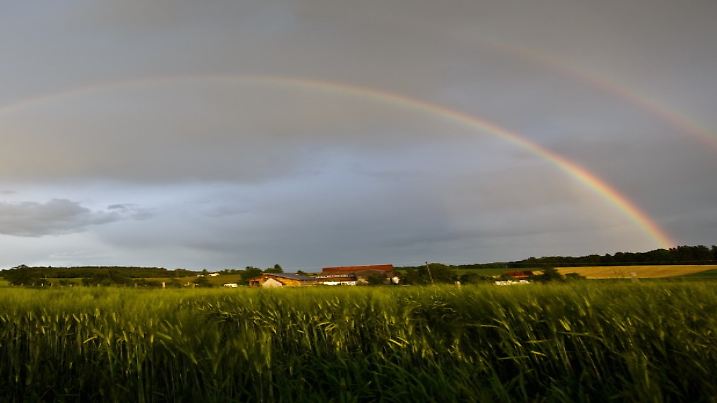Ein fast vollständiger doppelter Regenbogen ist am Mittwoch (30.05.2012) bei Horgenzell (Kreis Ravensburg) zu sehen. Die kommenden Tage soll das Wetter in Oberschwaben wechselhaft werden, so Meteorologen. Foto: Tobias Kleinschmidt dpa/lsw  +++(c) dpa - Bildfunk+++