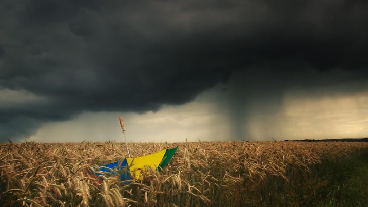 bunter Regenschirm im Getreidefeld bei aufziehendem Gewitter, Deutschland, NRW, Mettmann | colorful umbrella in a grain field when a thunderstorm is coming up, Germany, North Rhine-Westphalia, Mettmann | Verwendung weltweit