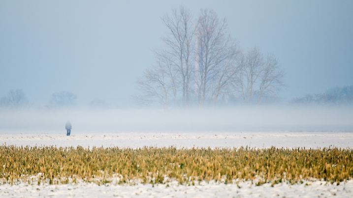 Ein Mann spaziert am 21.01.2016 bei aufziehendem Bodennebel über einen Feldweg bei Groß Lobke im Landkreis Hildesheim (Niedersachsen). Foto: Julian Stratenschulte/dpa +++(c) dpa - Bildfunk+++