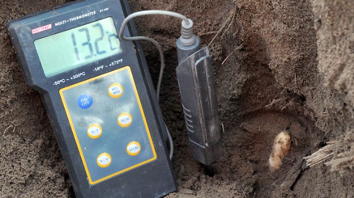 13,2 Grad Bodentemperatur zeigt ein Thermometer am 20.03.2012 neben einer sprießenden Spargelstange auf einem Feld des Spargelhofs Klaistow bei Beelitz. Bei der gegenwärtigen Wetterlage könnte Ostern bereits der erste Spargel gestochen werden. Offizieller Ernteanstich ist der 19. April. Foto: Bernd Settnik/lbn (zu lbn vom 21.03.2012)  +++(c) ZB-FUNKREGIO OST - Honorarfrei nur für Bezieher des ZB-Regiodienstes+++ | Verwendung weltweit