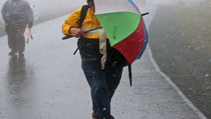 Im Schneeregen gehen am 22.05.2013 Wanderer auf der Brockenstraße zum Brocken (Sachsen-Anhalt). Foto: Matthias Bein/ZB