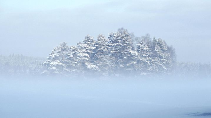 Wintermorgen, Eisnebel zieht ueber den See, Schweden, Hestra | wintry morning, ice fog over frozen lake, Sweden, Hestra | Verwendung weltweit