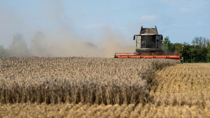 ARCHIV - 30.07.2018, Bayern, München: Ein Mähdrescher erntet ein Weizenfeld. Viele Landwirte in Bayern haben heuer wegen der enormen Trockenheit weniger Getreide geerntet - und das hat auch Auswirkungen auf die Müller im Freistaat. (zu dpa «Bauern hoffen auf nassen Winter und verregnetes Frühjahr vom 03.01.2019) Foto: Lino Mirgeler/dpa +++ dpa-Bildfunk +++