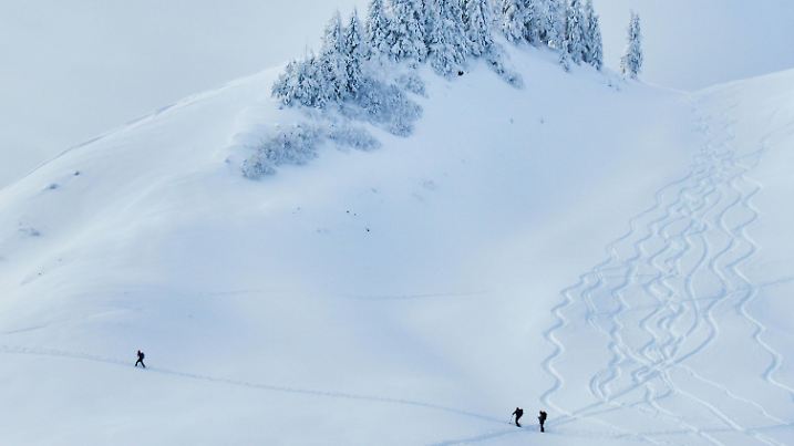Ski tour walker walk up to the mountain Alpspitz in dangerous avalanche area despite of avalanche danger and warning sign in Nesselwang, Allgäu, Bavaria, Germany, January 11, 2019. Photographer: Peter Schatz