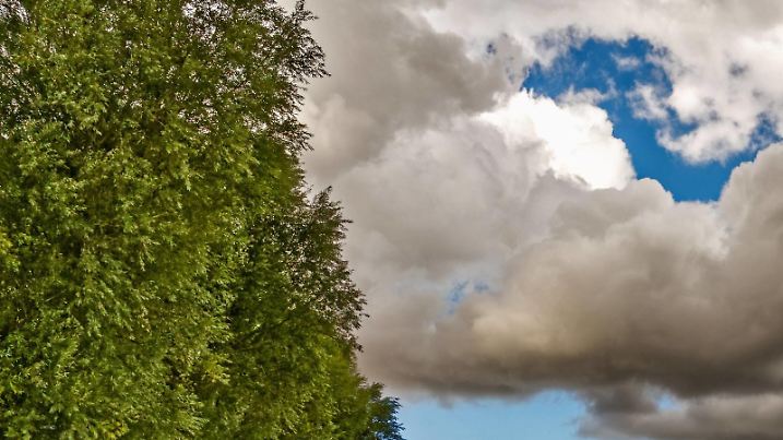 Unwetter im September | Verwendung weltweit