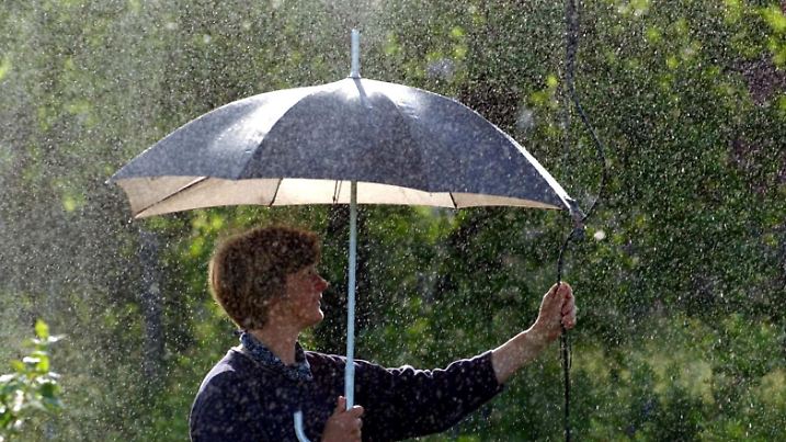 Frankfurt (Oder) (Brandenburg): In einer Heidelbeerplantage des Obsthofes Wilms in Frankfurt (Oder) öffnet am Mittwoch (09.06.2004) die Mitarbeiterin Kerstin Wilms geschützt durch einen Regenschirm eine Beregnungsdüse. Durch das warme und trockene Wetter der vergangenen Tage müssen bereits vor Sommerbeginn erste Ackerflächen künstlich beregnet werden. | Verwendung weltweit