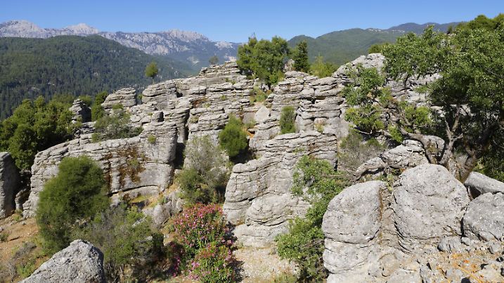 Schichtgestein, Taurusgebirge, Köprülü-Kanyon-Nationalpark, Provinz Antalya, Türkei, Asien | Verwendung weltweit, Keine Weitergabe an Wiederverkäufer.