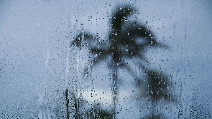 Tropical storm in Bermuda from window | Verwendung weltweit, Keine Weitergabe an Wiederverkäufer.