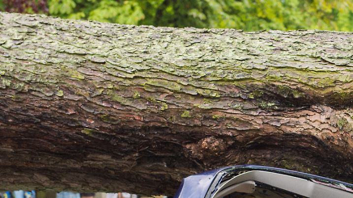 Eine umgestürzte Kastanie liegt am 22.06.2017 in Hamburg-Lohbrügge nach einem starken Unwetter über der Straße und begräbt ein parkendes Auto unter sich. (ACHTUNG: Kennzeichen aus persönlichkeitsrechtlichen Gründen unkenntlich gemacht) Foto: Daniel Bockwoldt/dpa +++(c) dpa - Bildfunk+++