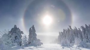 220117 Halo. Was für eine Winterkulisse auf dem Fichtelberg. Nach tagelangen Schneefällen und Wind schien am Sonntagvormittag das erste Mal seit längerem wieder die Sonne. Ein regelrechtes Wintermärchen fand man auf dem Fichtelberg vor. Wer den Fichtelberg besuchen durfte, wurde bei 10 C von einer malerischen Winterlandschaft überrascht. Dabei gab es auch ein meteorologischer Leckerbissen. Etwas Nebel, - 10 C und Sonnenschein verursachten einen Eisnebelhalo. Verursacht wird das durch feinste Wassertröpfchen, die man teilweise als ganz kleine Kristalle sieht. Somit gab es die Spektralfarben um die Sonne herum. Auf dem Fichtelberg selbst ist alles meterhoch verschneit, dick vereist. Fichtelberg Sachsen Deutschland *** 220