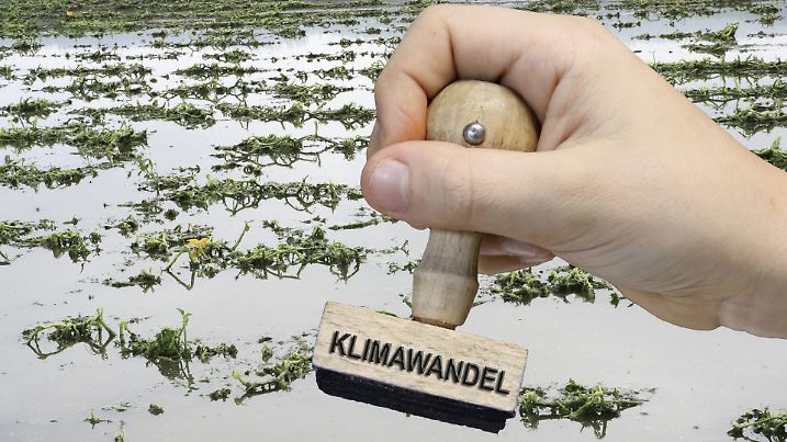 Klimawandel, Symbolbild