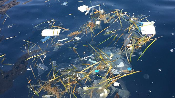 Das undatierte Foto aus dem Juli 2015 zeigt schwimmenden Plastikmüll vor der Baleareninsel Ibiza. Foto: Daphne Tieleman/dpa (zu dpa "Plastikschwemme vor Mallorca empört Badegäste und Umweltschützer" vom 31.07.2015) +++(c) dpa - Bildfunk+++