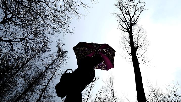 Eine Frau geht am 24.01.2016 bei regnerischem Wetter im Deister bei Barsinghausen (Niedersachsen) im Wald spazieren. Foto: Peter Steffen/dpa +++(c) dpa - Bildfunk+++