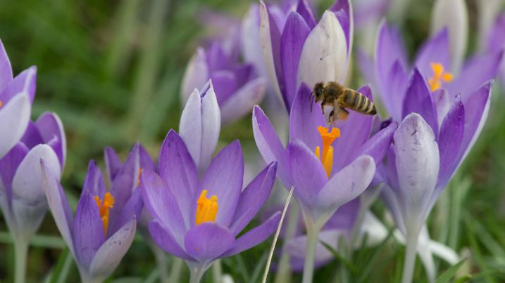 Der Wettertrend vom 12.03.2016