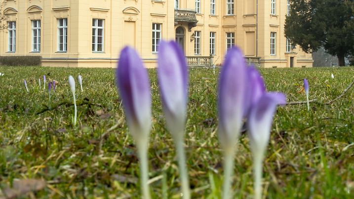 Das barocke Herrenhaus von Altranft nahe Bad Freienwalde (Brandenburg), das zum "Museum Altranft - Werkstatt für ländliche Kultur" gehört, fotografiert am 09.03.2016. Das Museum wird am 27. März 2016 wieder geöffnet. Foto: Patrick Pleul