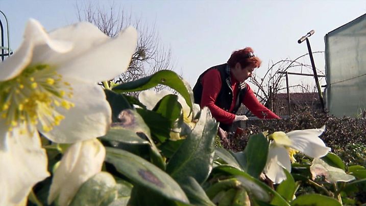 429024 orig 3 16x9.jpg