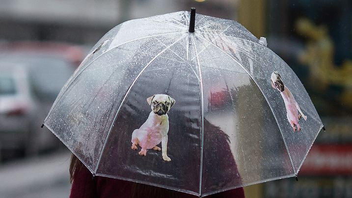 Eine Frau geht am 23.02.2015 in Berlin bei regnerischem Wetter mit einem Regenschirm durch die Stadt. Auf dem Regenschirm ist ein Hund abgebildet. Foto: Lukas Schulze/dpa +++(c) dpa - Bildfunk+++