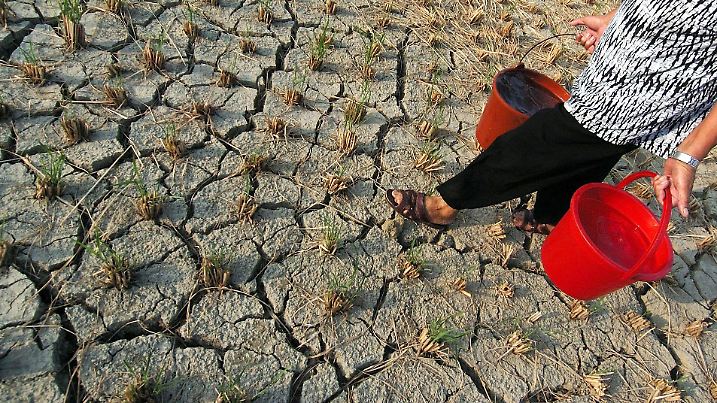 A villager carries water to irrigate the field at Wangzhai Village of Zhanggang Town in Changle City of southeast China's Fujian Province on July 30, 2007. With frequent heatwave and less rainfall, most parts of the province have suffered drought since early July. Foto: Xinhua /Landov +++(c) dpa - Report+++