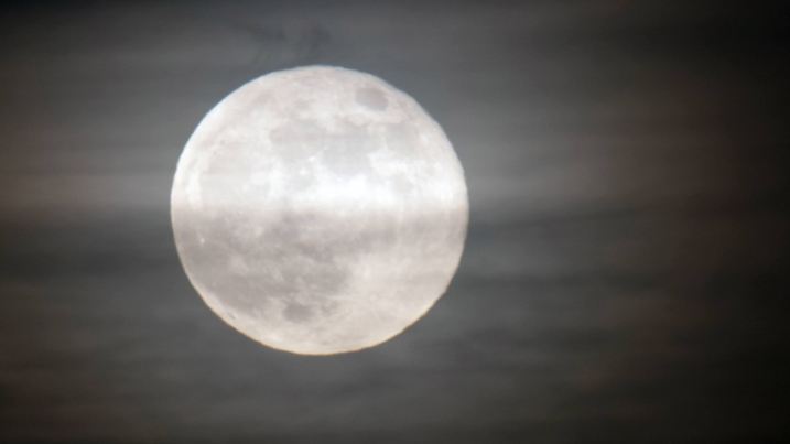 Vollmond, Deutschland | full moon, Germany | Verwendung weltweit