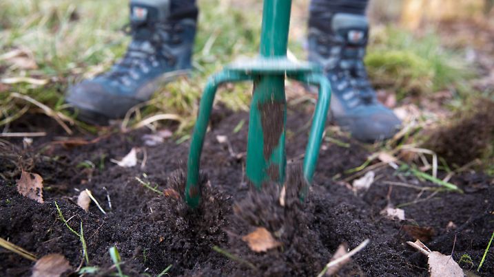 ILLUSTRATION - Eine Frau lockert am 04.03.2016 in Berlin in einem Schrebergarten den Boden. Foto: Florian Schuh | Verwendung weltweit