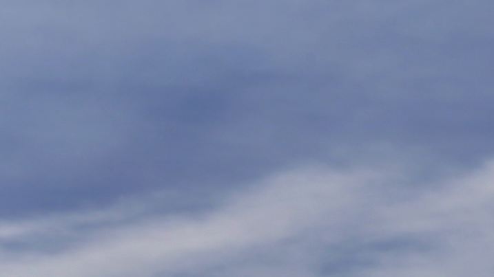 dpatopbilder Eine Kuh weidet am 19.11.2015 bei Unterthingau (Bayern) vor einer Föhnwolke. Foto: Karl-Josef Hildenbrand /dpa