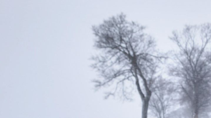 Eine Landstraße bei Lauterbach (Sachsen) ist am 13.01.2017 wegen Schneeverwehungen gesperrt. Foto: Jan Woitas/dpa-Zentralbild/dpa +++(c) dpa - Bildfunk+++