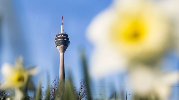 Der Düsseldorfer Fernsehturm, fotografiert am 01.04.2016 in Düsseldorf (Nordrhein-Westfalen) durch Blumen. Foto: Marcel Kusch/dpa +++(c) dpa - Bildfunk+++