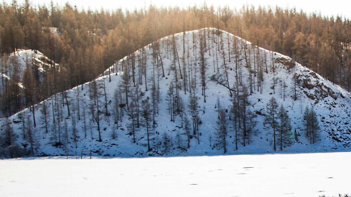 HANDOUT - In dem vom Internationalen Roten Kreuz zur Verfügung gestellten, undatierten Foto liegt ein Stück Vieh tot im Schnee in der Mongolei. Wegen eines ungewöhnlich harten Winters in der Mongolei fürchtet das Rote Kreuz um die Existenz von mehr als 150 000 Nomaden und deren Viehherden. (Zu dpa "Wetterphänomen «Dsud» bedroht Nomaden und Vieh in der Mongolei"). ACHTUNG: Nur zur redaktionellen Verwendung im Zusammenhang mit der Berichterstattung und bei vollständiger Nennung der Quelle: Foto: Mirva Helenius/Internationales Rotes Kreuz/AP/dpa +++(c) dpa - Bildfunk+++