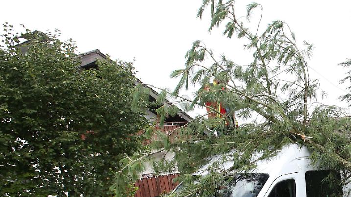 Feuerwehrmänner sägen am 03.08.2017 in Ehingen (Baden-Württemberg) einen umgestürzten Baum klein, der auf einen Kleintransporter gefallen war. Foto: Thomas Warnack/dpa +++(c) dpa - Bildfunk+++