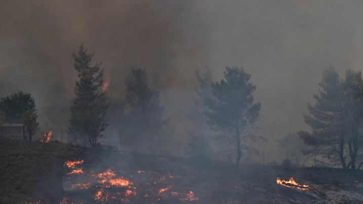 Ein Feuerwehrmann versucht am 14.08.2017 in Metohi (Griechenland) ein Feuer zu löschen. Dramatische Waldbrände treiben Tausende im Süden Europas in die Flucht. Besonders schwer getroffen war am 14.08.2017 Griechenland. (zu dpa «Heftige Flammen bei Athen - Schwere Waldbrände in Südeuropa» vom 14.08.2017) Foto: Petros Giannakouris/AP/dpa +++(c) dpa - Bildfunk+++